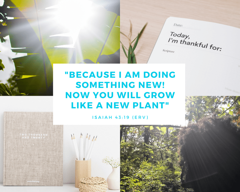 Prodigal love Jan Mood Board